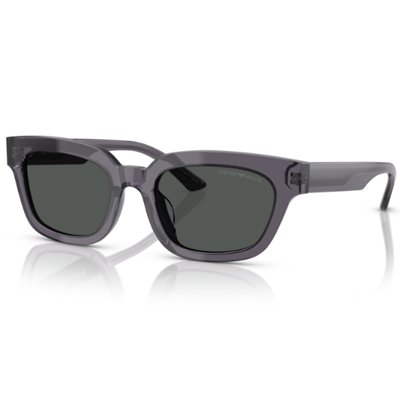 Emporio Armani EA4233U Sunglasses